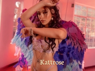 Kattrose