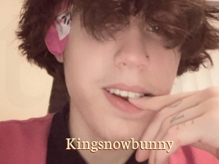 Kingsnowbunny