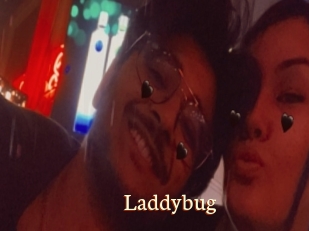 Laddybug