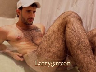 Larrygarzon