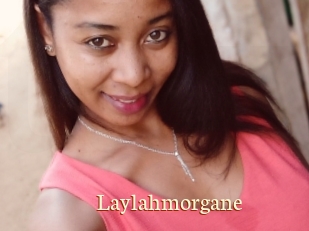 Laylahmorgane