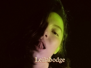 Leilabodge