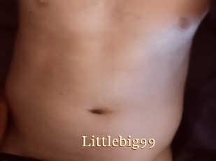 Littlebig99