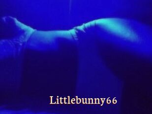 Littlebunny66