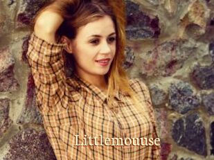 Littlemouuse