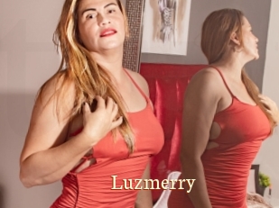 Luzmerry