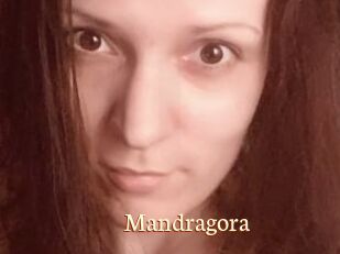 Mandragora