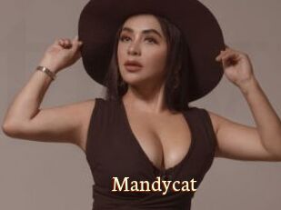 Mandycat