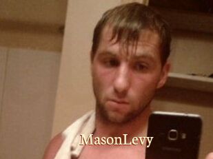 Mason_Levy