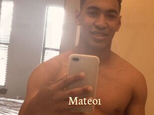 Mateo1