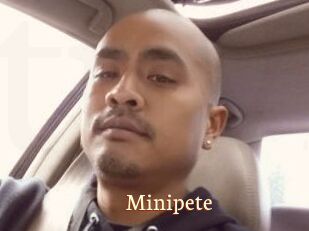 Minipete