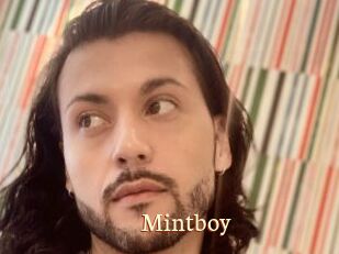 Mintboy