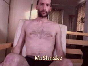 MrShnake