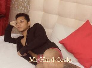 Mr_Hard_Cock1