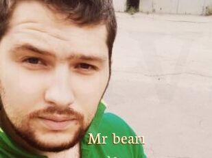 Mr_bear1