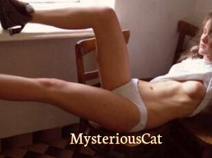 MysteriousCat