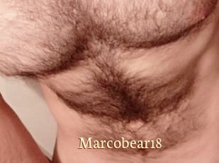 Marcobear18