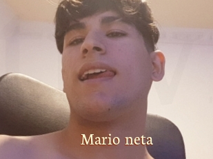 Mario_neta