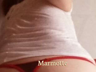 Marmotte