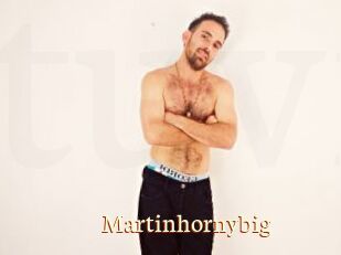 Martinhornybig