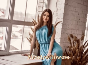 Meadowflowers