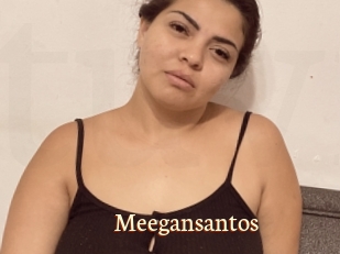 Meegansantos