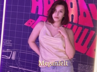 Meganfelt