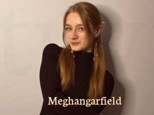 Meghangarfield