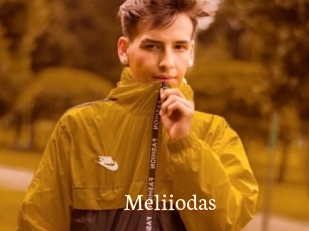 Meliiodas