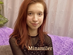 Minamiler