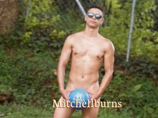 Mitchellburns