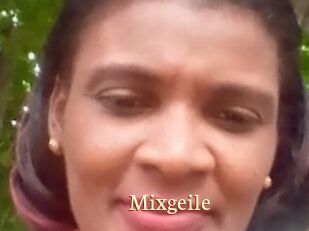 Mixgeile