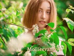 Mollieevans