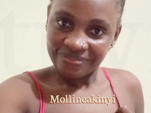 Mollineakinyi