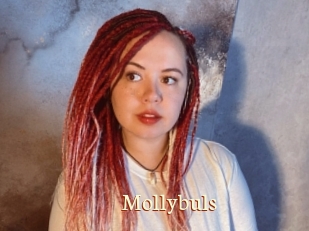 Mollybuls