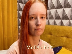 Mollyrabbit