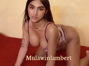 Mulawinlambert