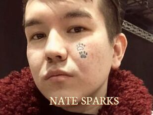 NATE_SPARKS