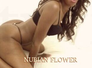 NUBIAN_FLOWER