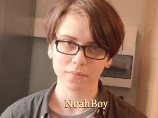 NoahBoy