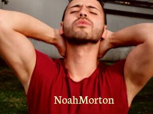 NoahMorton