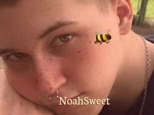 NoahSweet