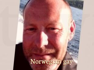 Norwegian_gay