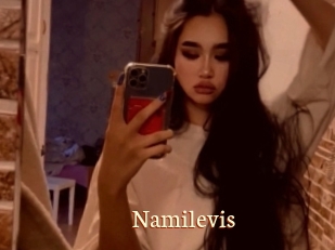 Namilevis