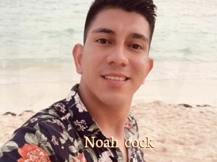 Noah_cock