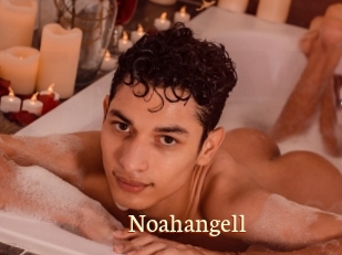 Noahangell