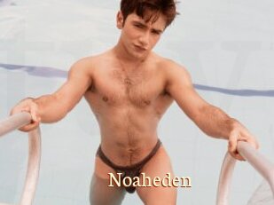 Noaheden