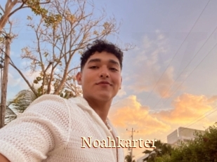 Noahkarter