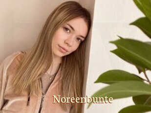 Noreenbunte