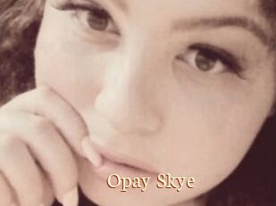 Opay_Skye